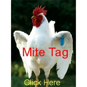 Poultry Mite Tag
