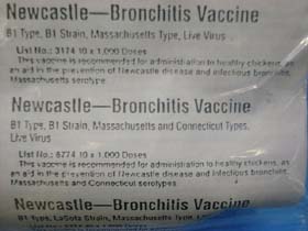 Newcastle Vaccine